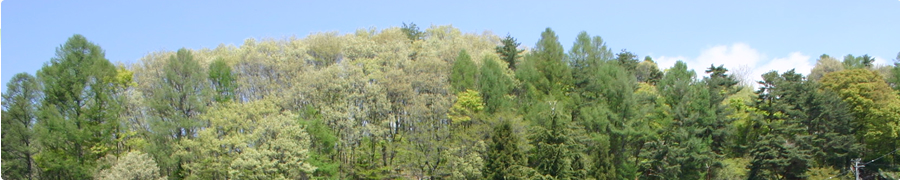 ことぶきの家タイトルイメージ